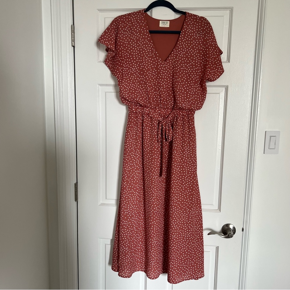 Polka Dot Dress